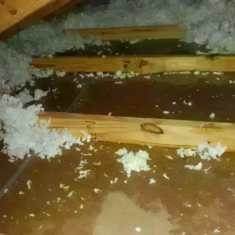 Attic Water Damage in Many, LA