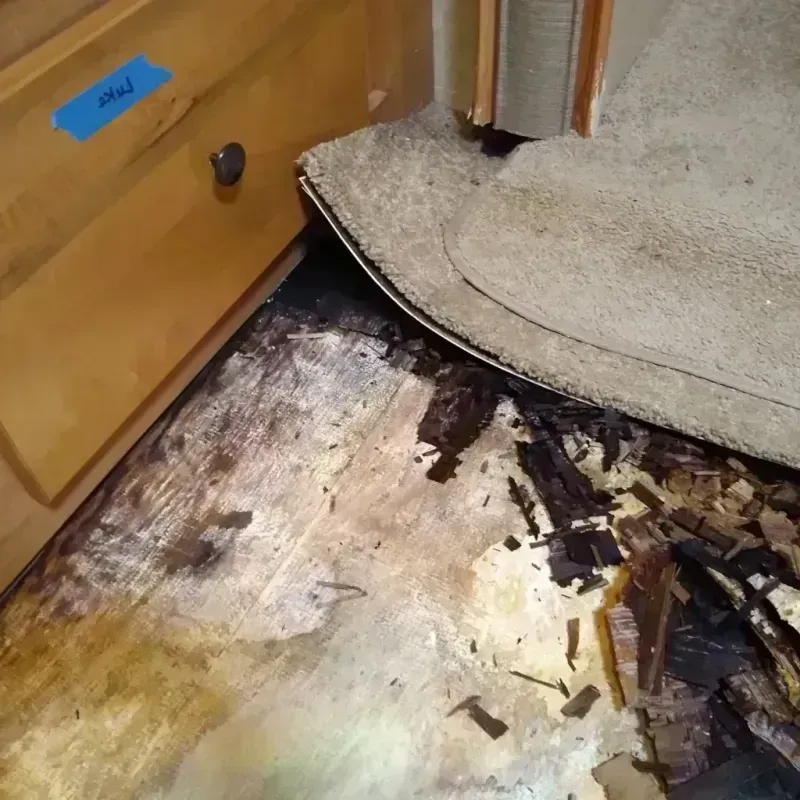 Wood Floor Water Damage in Many, LA